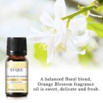 Essential Oils