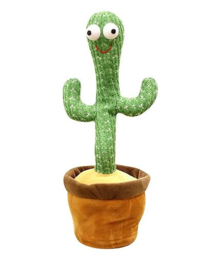Talking Cactus Toys